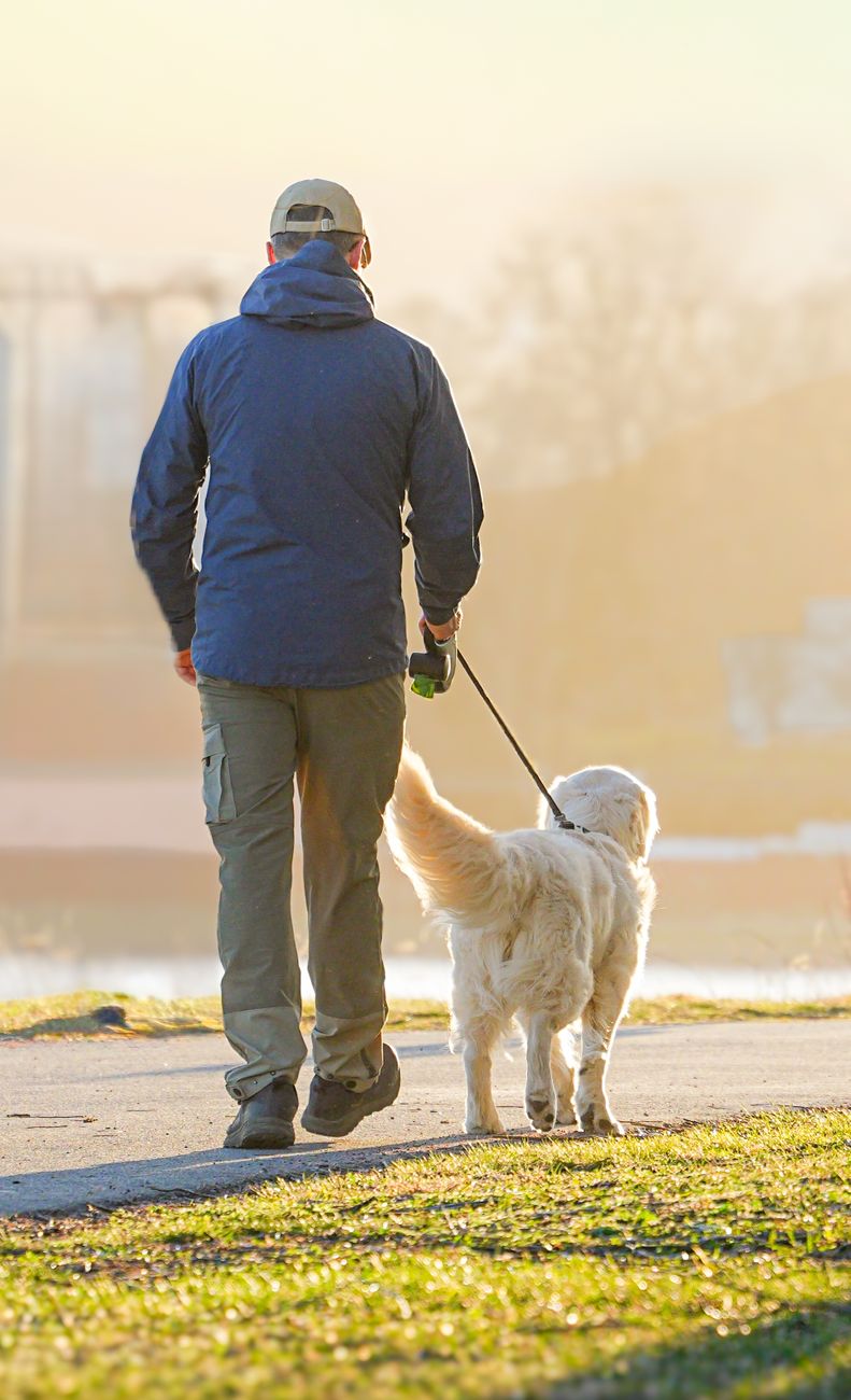 Tutora paseando feliz con su perro a la luz del sol