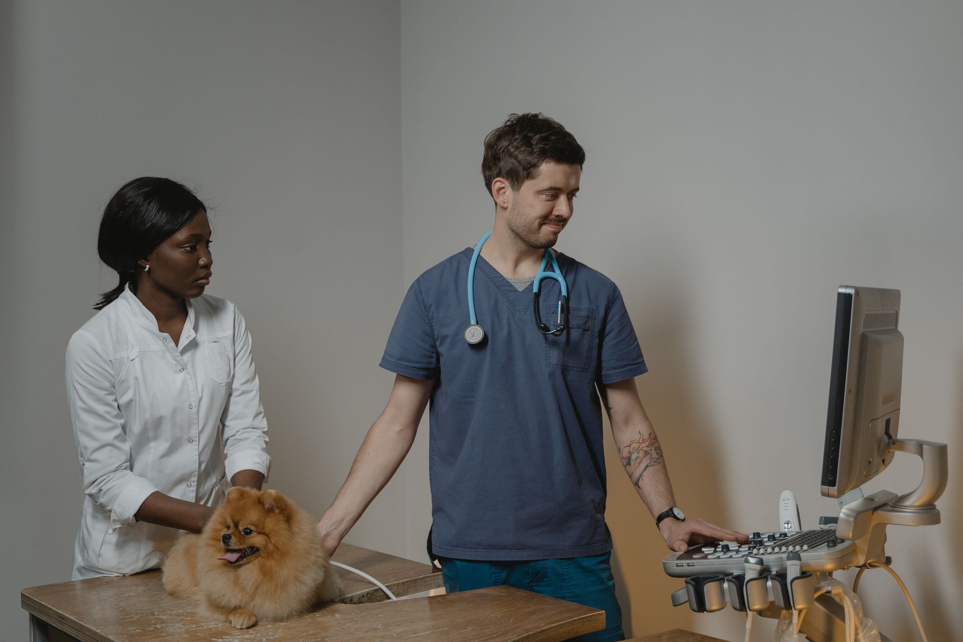 Equipo veterinario junto al ecógrafo durante un examen